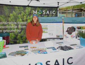 Mosaic booth