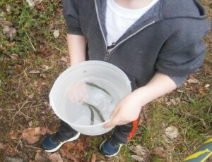 careful carry by kid