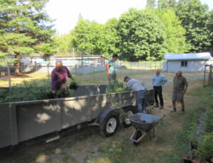 Loading trees