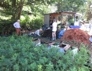 Pot party over trees