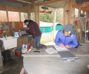 FBSES volunteers perform all the usual egg take operations and fish raising activities in these remote settings