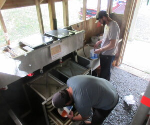 FBSES volunteers perform all the usual egg take operations and fish raising activities in these remote settings